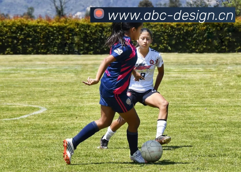 多媒体互动体验